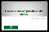 Consecuencias juridica del delito.pdf