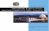 Informe ejecutivo - Cauca