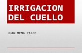 4. Irrigacion Del Cuello