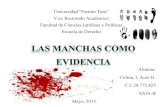 Manchas como evidencia.pptx Auxi Gabriela Colina Lorenzo.pdf