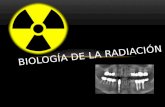 Biología de La Radiación