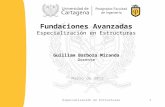 Fundaciones Avanzadas - Espec. Estructuras