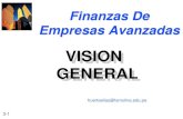 FAV 01 Vision General