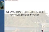 Irrigacion e Inervacion Sist. Resp. (1)