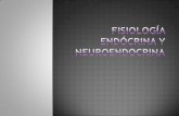 10.-Fisiologia Endocrina y Neuroendocrina
