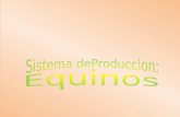 Guia Didactica Equinos FM Rev-ZaII I