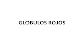 7) Globulos Rojos, 14 Abril 2015
