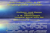 1 Introducción a La Angiografía Ocular 2012