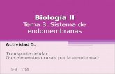 Biologia 2. Tema 3. Sistema de Endomembranas!!