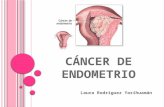Cancer de Endometrio