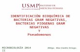 Identificación Bioquímica de Bacterias Gram Negativas