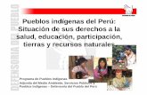 Pueblos Indigenas en El Peru
