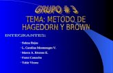 Correlacion de Hagedorn y Brown