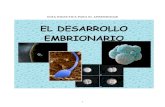 Guia de Actividades Sobre El Desarollo Embrionario Humano