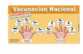 calendario vacunacion 2011
