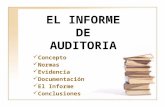 El Informe de Auditoria (Informática)