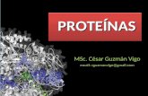 Clase 6 Proteinas- DR CESAR GUZMAN VIGO