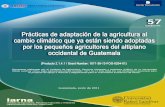 Prácticas de Agricultura adaptadas al CC.pdf