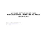 Modulo Entrenador Para Microcontroladores de 40 Pines_2015