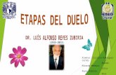 Etapas Del Duelo Dr Alfonso Reyes Zubiriaaa