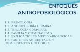 ENFOQUES ANTROPOBIOLÓGICOS (1)