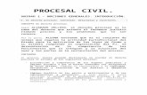 Procesal Civil Resumen Completo Final