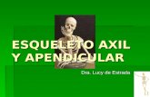 Esqueleto Axil y Apendicular