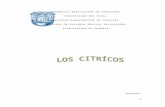 Monografia Los Citricos