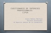 Cuestionario de Intereses Profesionales (Cipsa)