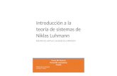 Resumen de la teoría de sistemas de Luhmann