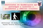 Institutos en Guadalajara Que Prevengan u Orienten a Invidentes y Débiles Visuales