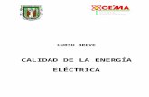 Curso Breve de Calidad de La Energía en IING Mexicali 2004