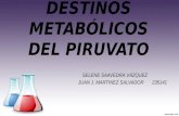 Destinos Metabolicos Del Piruvato