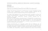 Modulo I Dr. Dávila Derecho Procesal Constitucional