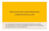 Prevención Enfermedad Cardiovascular 2
