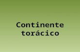 Pwpoint Continente Toracico (prof Vera, UBA)