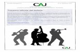 Boletín CAJ 13
