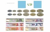 moneda Guatemala.pdf