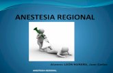 Anestesia Regional Y Local Jc