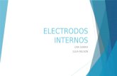 ELECTRODOS INTERNOS