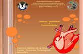Anatomia y Fisiología del Corazón