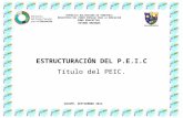 P.E.I.C. 2014-2015.pptx