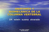 Anatomía y Biomecánica de La Columna Vertebral Unfsc Ultimo