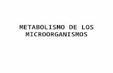 3.-Metabolismo de Los Microorganismos