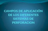 CAMPOS DE APLICACIÓN DE LOS DIFERENTES SISTEMAS DE.pptx