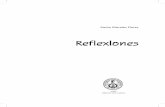 Libro Reflexiones 2013.pdf