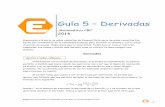 Matematica 51 - Guia 5 Derivadas