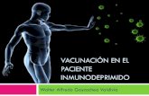 Vacunación del paciente inmunodeprimido