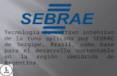 Tecnología de Cultivo Intensivo de La Tuna Aplicada Por SEBRAE de Sergipe, Brasil, Como Base Para El Desarrollo Sustentable en La Región Semiárida de Argentina