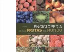 Enciclopedia de Las Frutas Del Mundo Medilibros.com